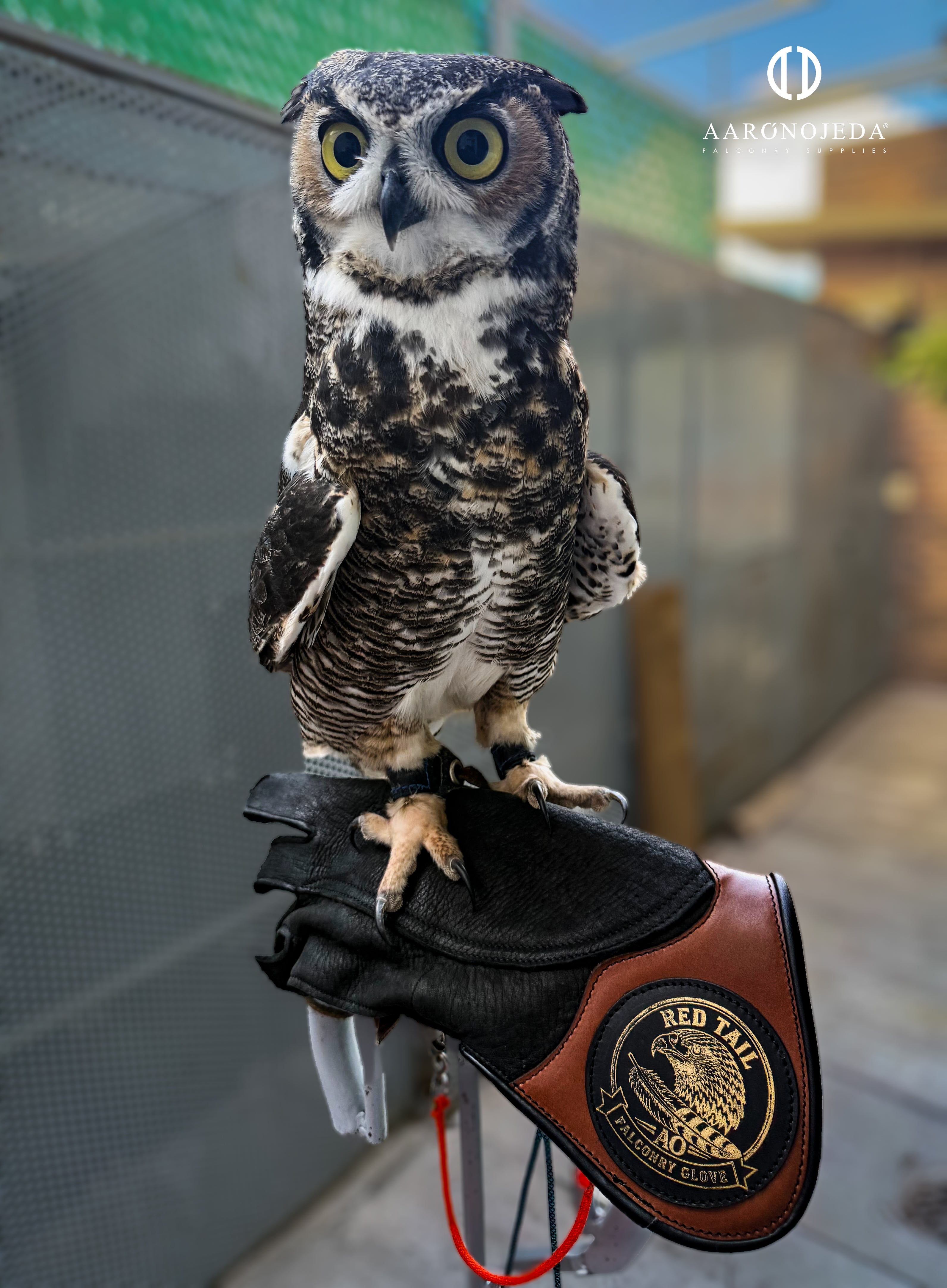 RT GLOVE® – Heavy-Duty Falconry Glove