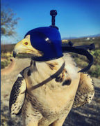 AO Anglo-Indian Classic one-piece falconry hood with adjustable closure