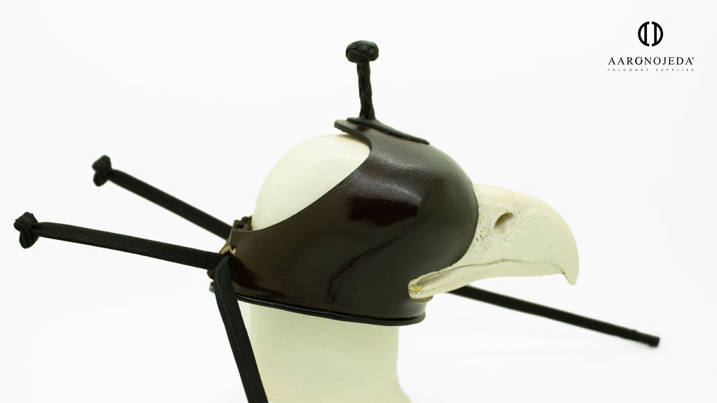 Leather eagle hood designed for fitting and transporting large raptors
