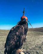 AO Khan falconry hood handcrafted for eagles