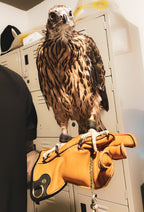 AO Rodeo falconry glove handcrafted in elk or deerskin leather