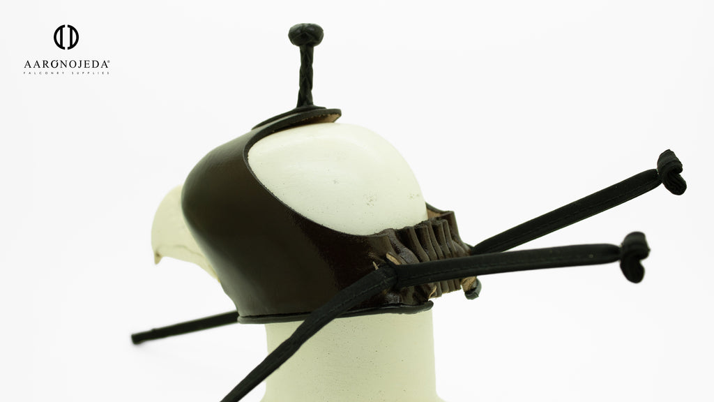 AO Falconry Supplies open-nape eagle hood detail