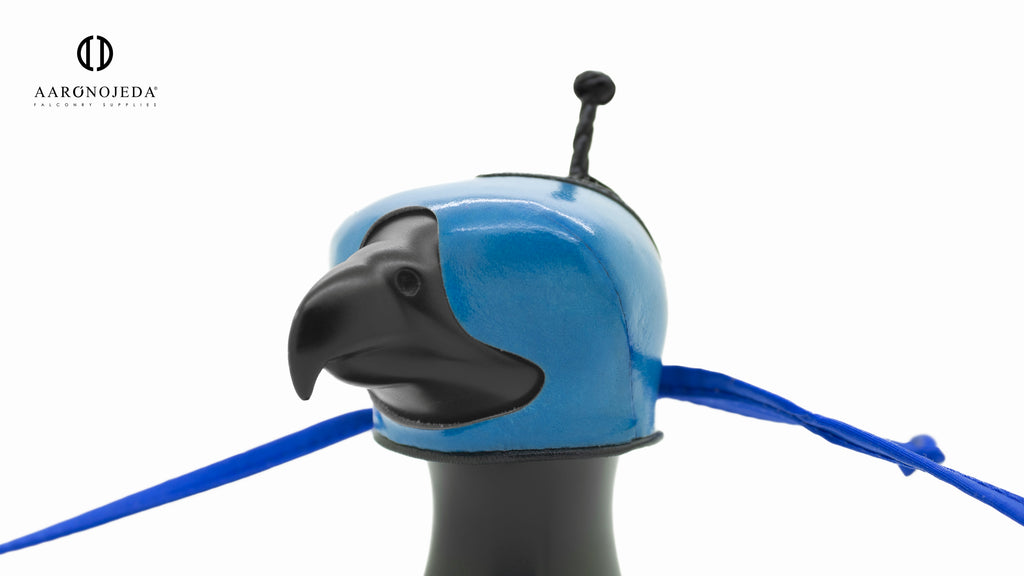 Angloindian Signature Hood