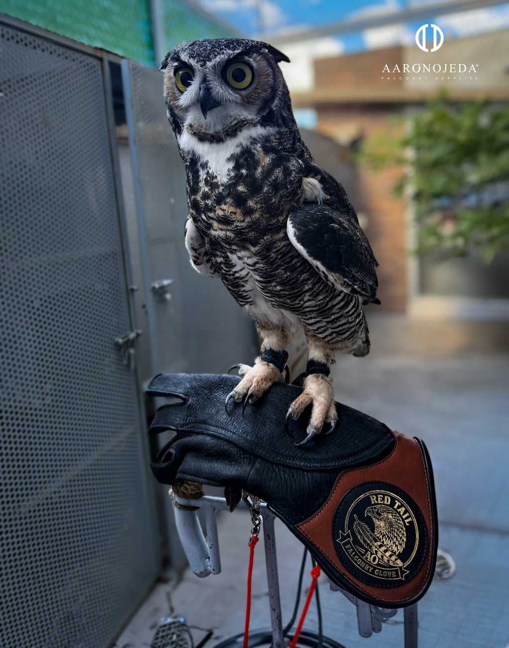 RT GLOVE® – Heavy-Duty Falconry Glove