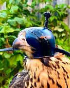AO Anglo-Indian Classic one-piece falconry hood with adjustable closure