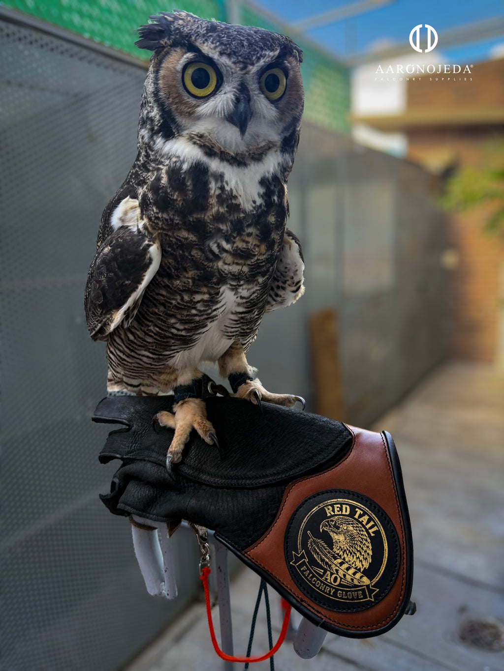 RT GLOVE® – Heavy-Duty Falconry Glove