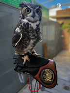 AO RT heavy-duty falconry glove for game hawking