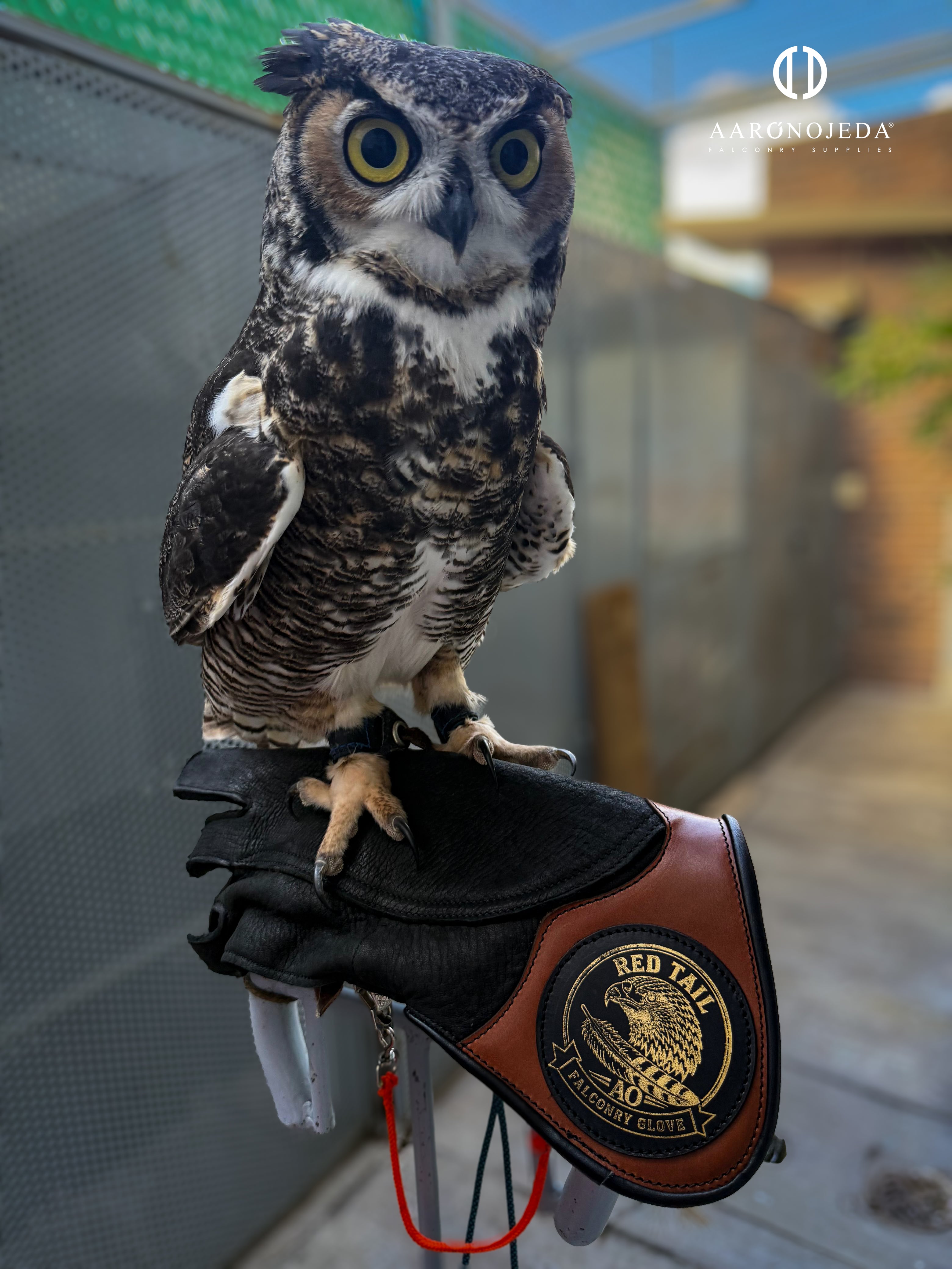 RT GLOVE® – Heavy-Duty Falconry Glove