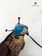 AO Anglo-Indian Classic one-piece falconry hood with adjustable closure