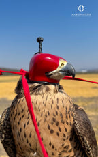 AO Anglo-Indian Classic one-piece falconry hood with adjustable closure