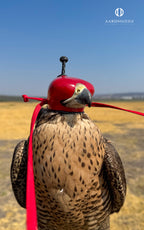 AO Anglo-Indian Classic one-piece falconry hood with adjustable closure