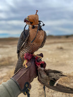 AO Rodeo falconry glove handcrafted in elk or deerskin leather