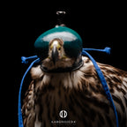 AO Anglo-Indian Classic one-piece falconry hood with adjustable closure