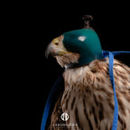 AO Anglo-Indian Classic one-piece falconry hood with adjustable closure