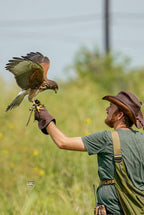Line Falconry Glove® – Double Full Grain Layer