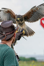 Line Falconry Glove® – Double Full Grain Layer