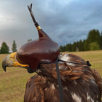 AO Khan falconry hood handcrafted for eagles