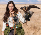 AO protective case for storing and transporting a falconry hood