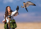 AO protective case for storing and transporting a falconry hood