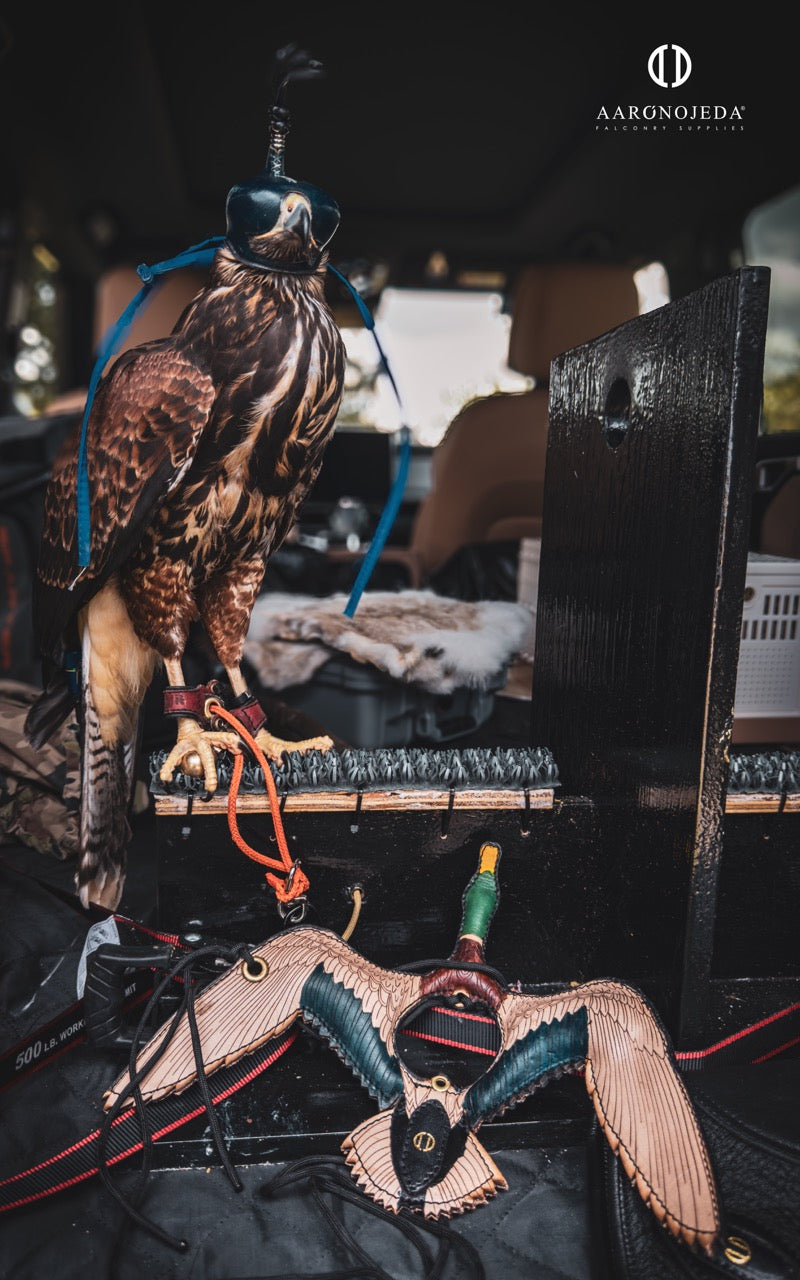 Duck Engraving®️ Double view