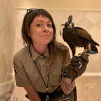 AO 27 cm leather falconry gauntlet for hawk handling