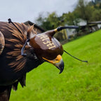 AO Khan falconry hood handcrafted for eagles