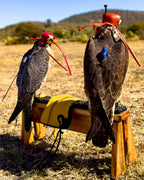 AO Rodeo falconry glove handcrafted in elk or deerskin leather